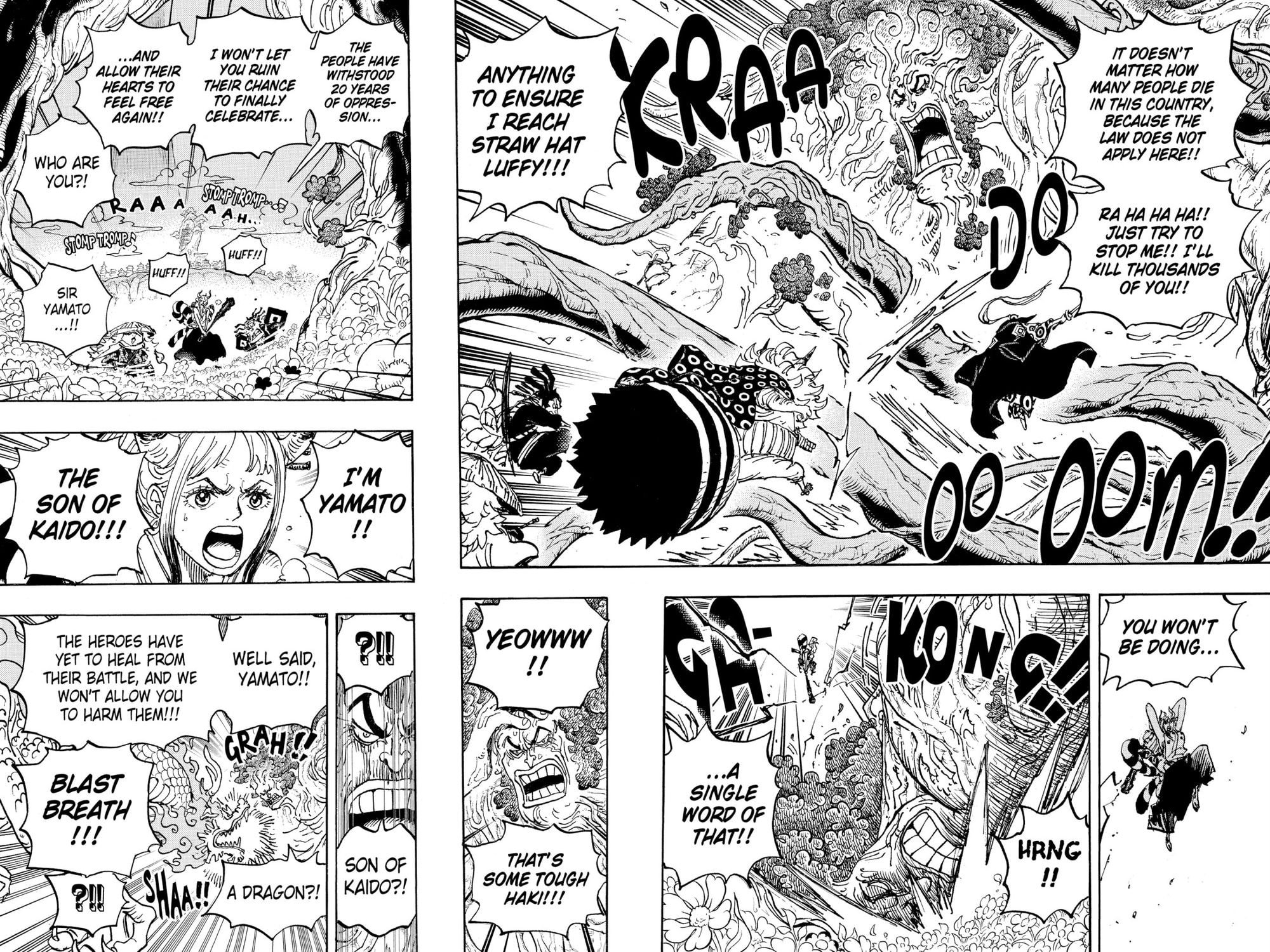 One Piece, Chapter 1054 image 05